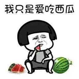 娱乐圈吃瓜要去哪里吃